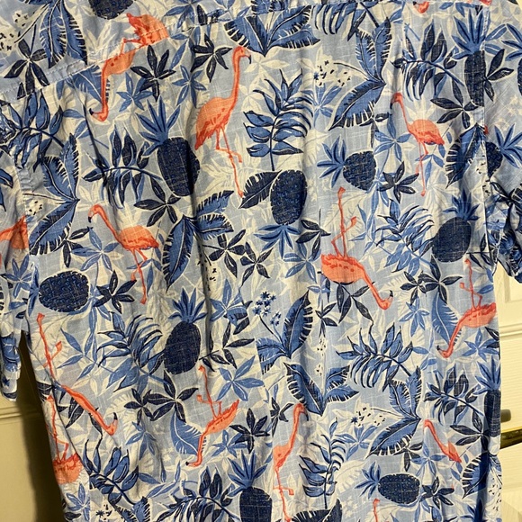 FLAMINGOS - Picture 3 of 3